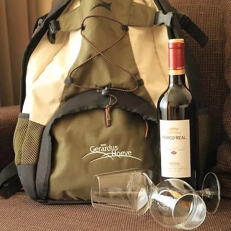酒店 杰拉德施夫餐厅酒店 黑耶拉特